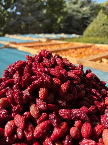 Гарни, Гегард и фабрика сухофруктов — из Еревана