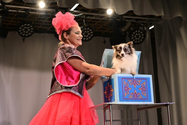 Новогодний цирк