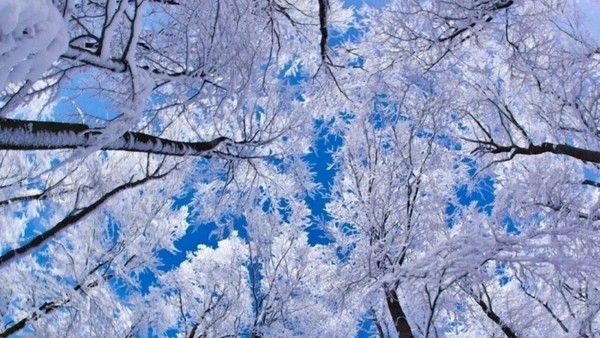 «Волшебные праздники зимы»