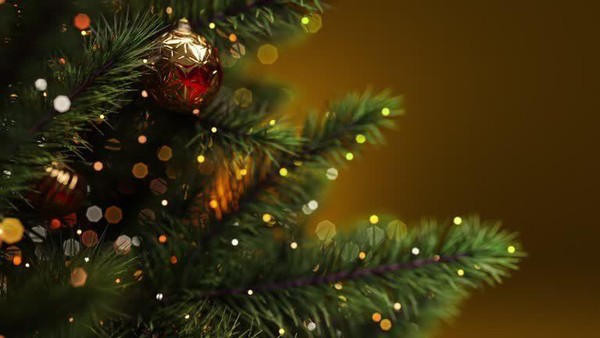 Программа выходного дня «Щедрый вечер»