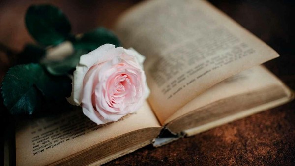 «От классики до современной литературы»