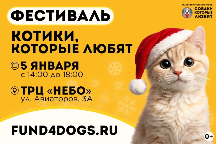 Фестиваль-пристройство "Котики, которые любят"