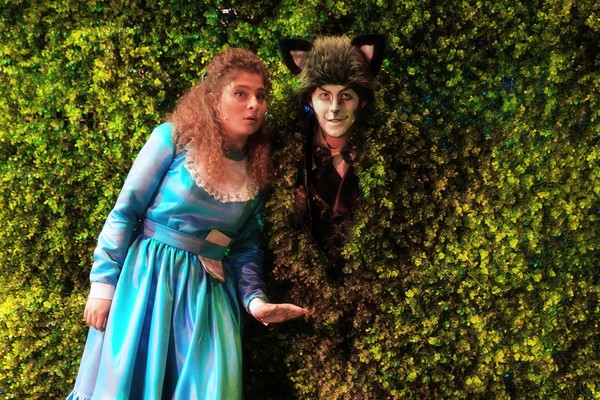 Алиса в стране чудес