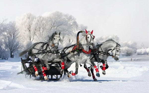 Международный online многожанровый конкурс-фестиваль искусств и творчества «Тройка»