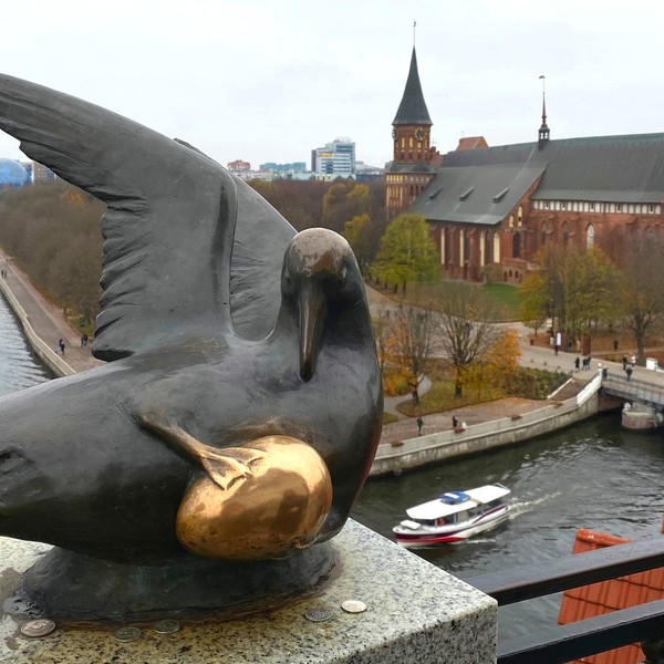 В погоню за восточно-прусскими котами: семейный квест по Калининграду