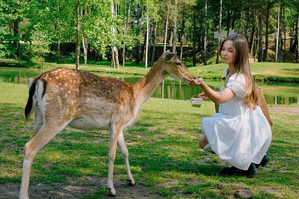 Трансфер из Минска — в парк «Диприз»