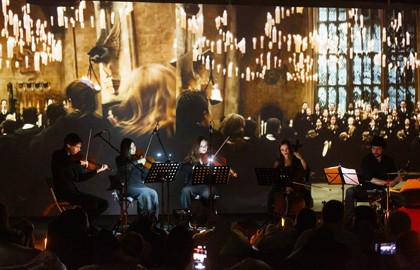 Магическая вселенная Гарри Поттера