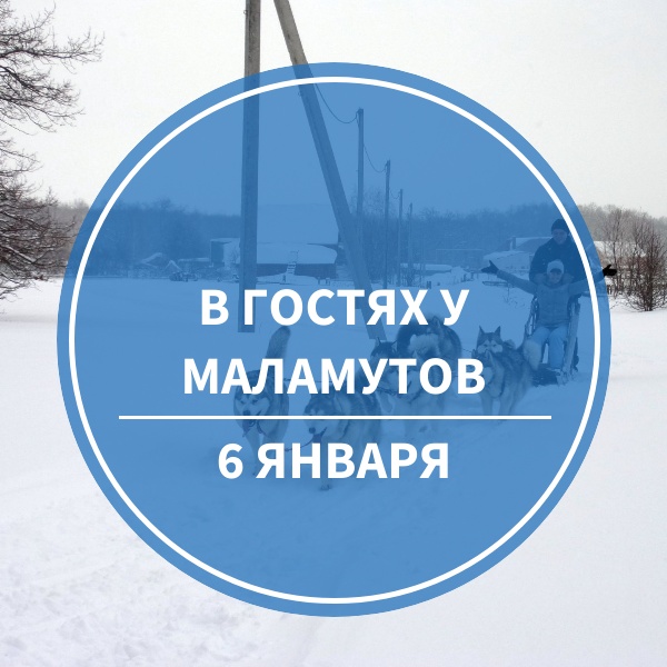 В гостях у Маламутов 6 января