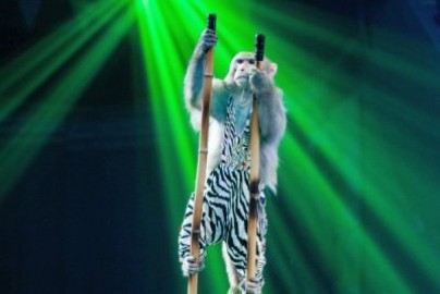 Новогодняя тайна пирата