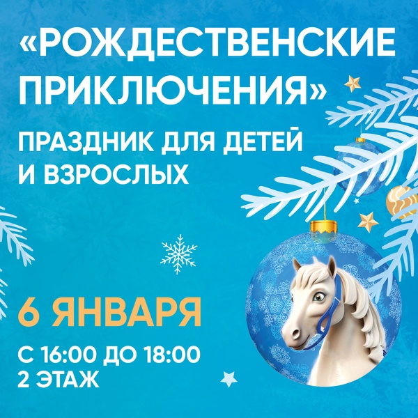 Рождественские приключения