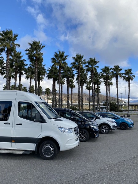 Трансфер из Сочи в Абхазию + путевая экскурсия