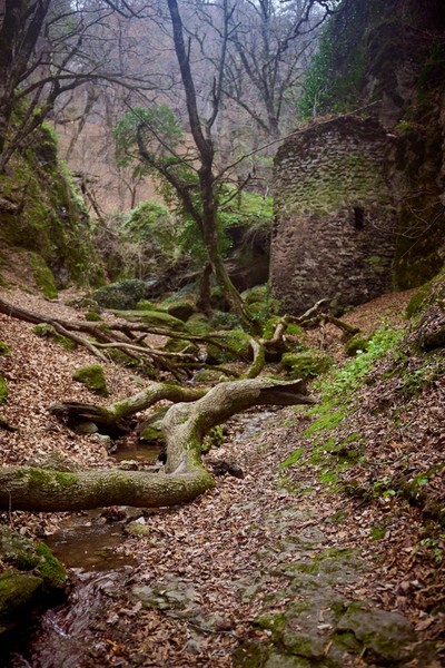 Хайк по каньонам Биртвиси и катание на сапах на Алгетском водохранилище