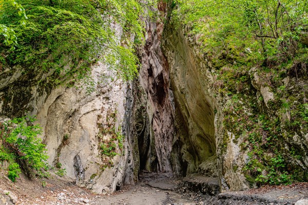 Карадахская и Салтинская теснины + конная прогулка по желанию