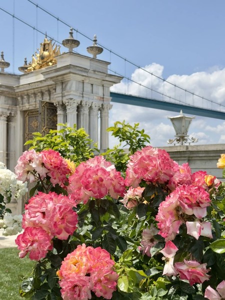 Великолепный век Стамбула: дворец Топкапы и мечеть Сулеймание