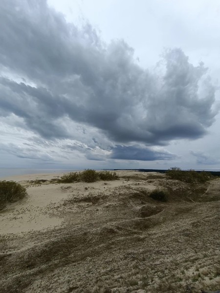 Между морем и заливом — Куршская коса