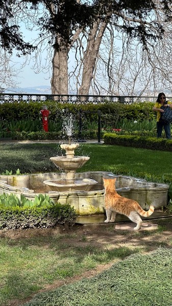 Аудиогид по азиатской стороне Босфора: вне суеты и времени