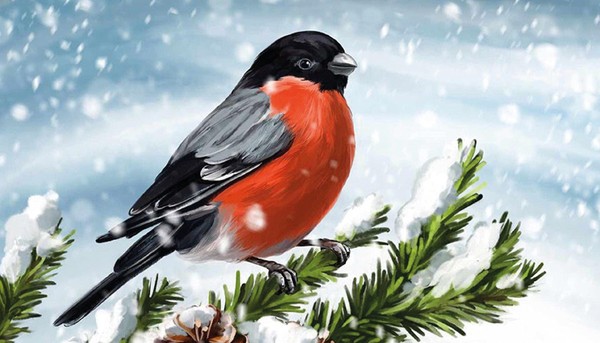 Мастер класс по рисованию «Снегирь»