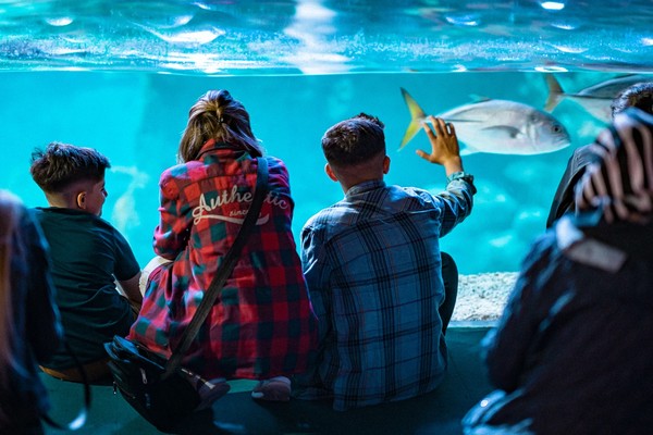 Стамбул для всей семьи: дворцы, музеи и козье мороженое