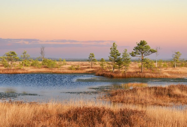 Ельня — древнейшее болото Беларуси