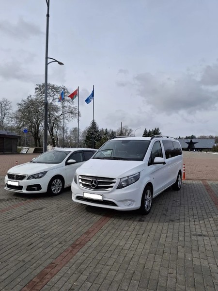 Трансфер «Минск ⇄ Брест» + Беловежская пуща