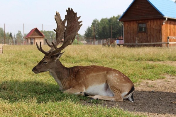 Трансфер из Минска в «Станьково»: туда и обратно