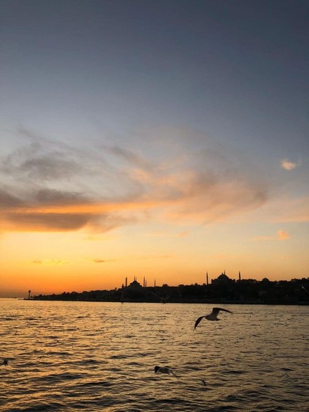 Красота Стамбула: на яхте по Босфору