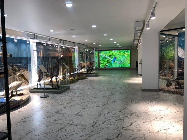 «КиноКаникулы: Лучшее для детей!»