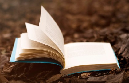 Роман с моей жизнью