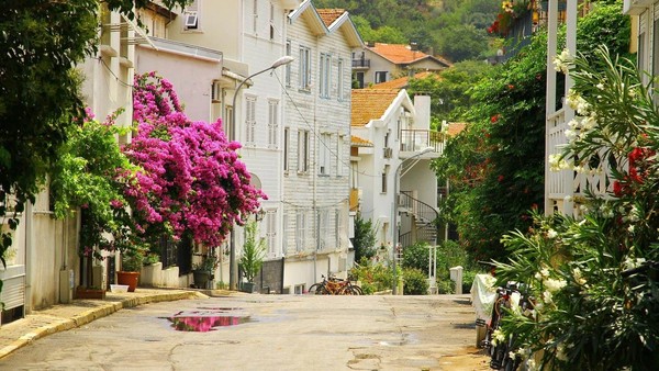 Из Стамбула — на живописные Принцевы острова!