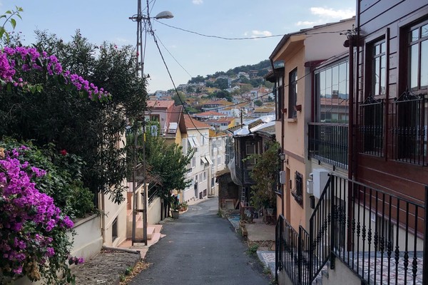 Самый зеленый из Принцевых островов — круглый год