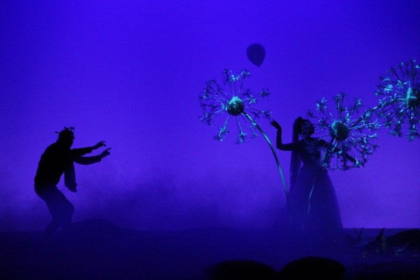 Ёжик в тумане