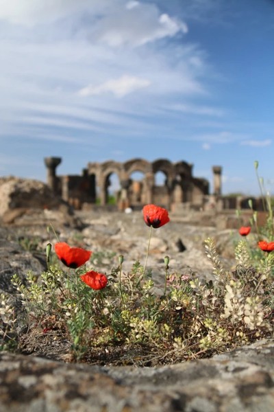 Трансфер «аэропорт-Ереван» (или наоборот) с заездом в Эчмиадзин
