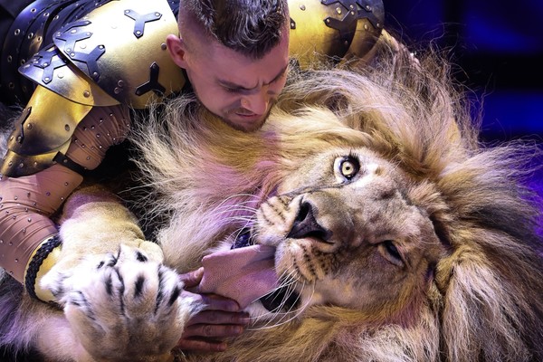 Цирк Моретти