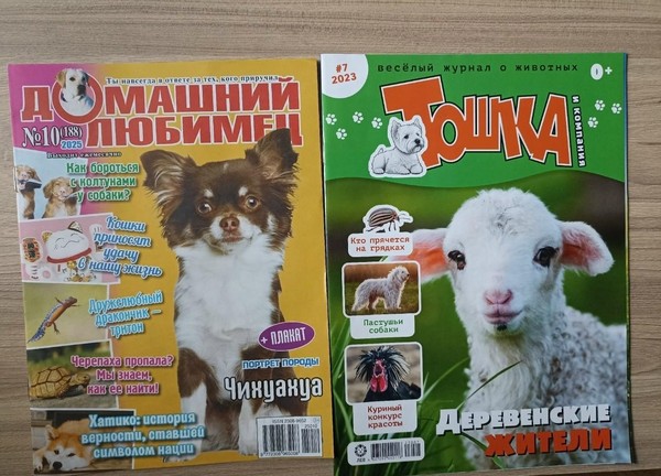 Программа «Зоологический вернисаж»