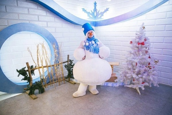 День рождения Снеговика