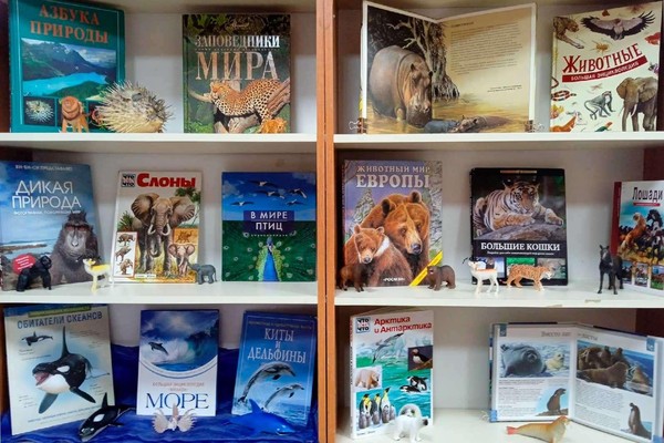 Программа «Защитим то, что любим»