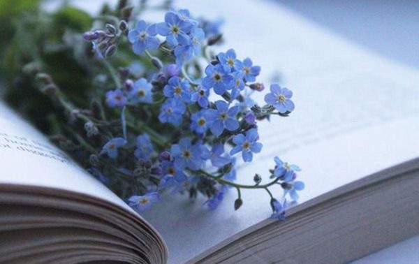 «Юбилей любимой книжки»