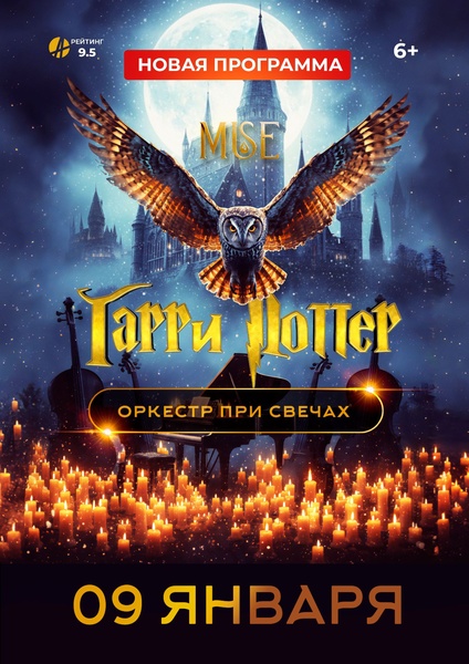 MUSE:Гарри Поттер г.Нефтекамск