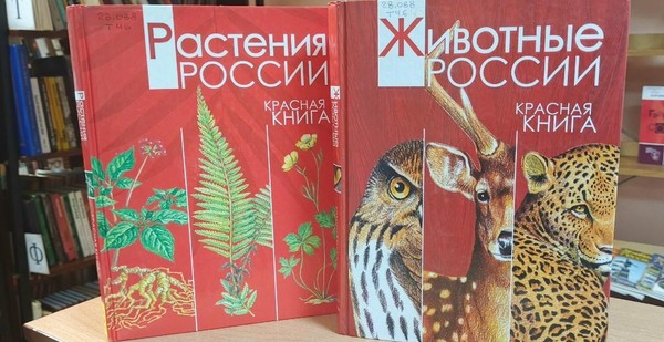 Книжно–иллюстративная «Жемчужины природы–заповедники»