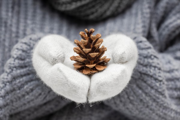 «Зима – пора чудес»