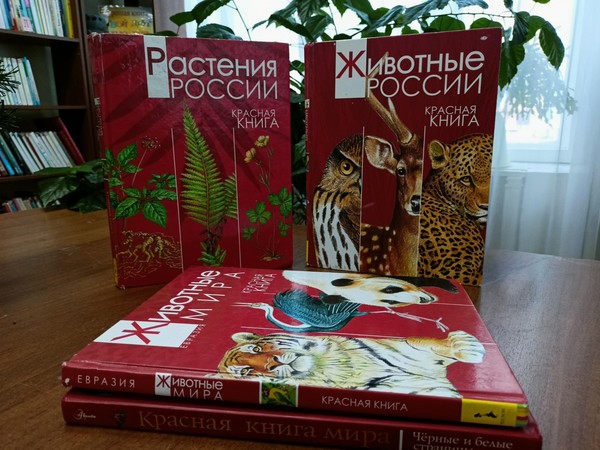 Экологический час «Природные сокровища под угрозой»