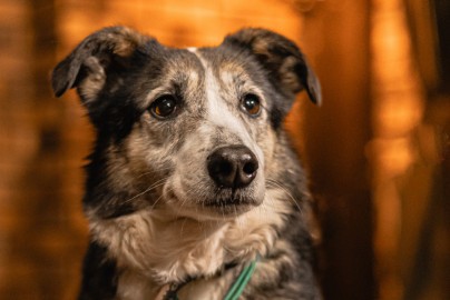 Благотворительный «Бункер»