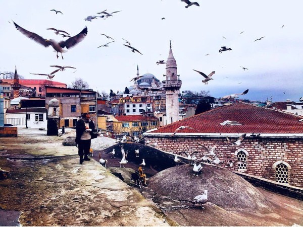 В поисках Османской империи