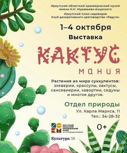 Кактусмания