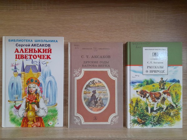 Книжно – иллюстративная выставка «Чародей слова»