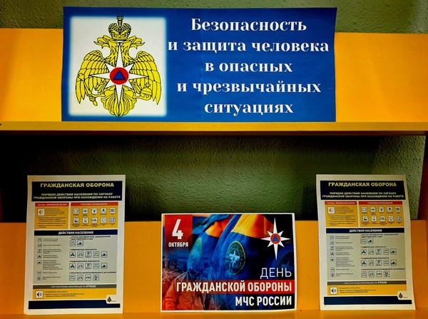 Выставка-информация «Безопасность и защита человека в опасных и чрезвычайных ситуациях»