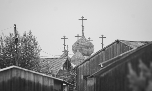 Выставка «Правда Севера»