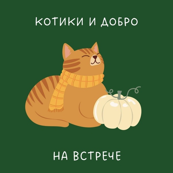 Благотворительная акция помощи котикам на маркете Встреча