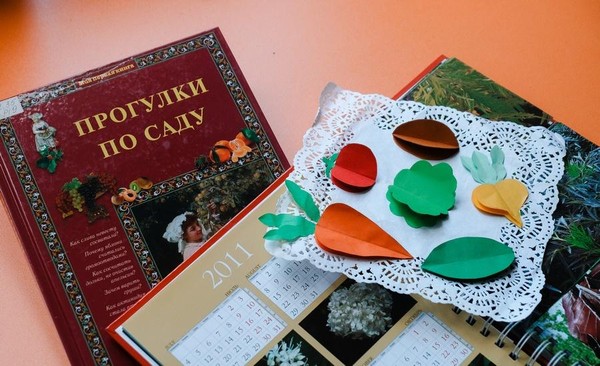Занятие «Золотая кладовая»
