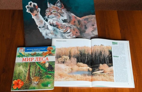 Занятие «Лесные животные»